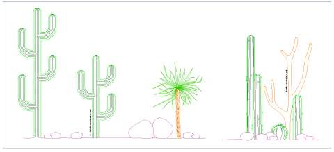cactus_desert_vegetation_vegetazione_wusten_vegetacion_desertica_columnar